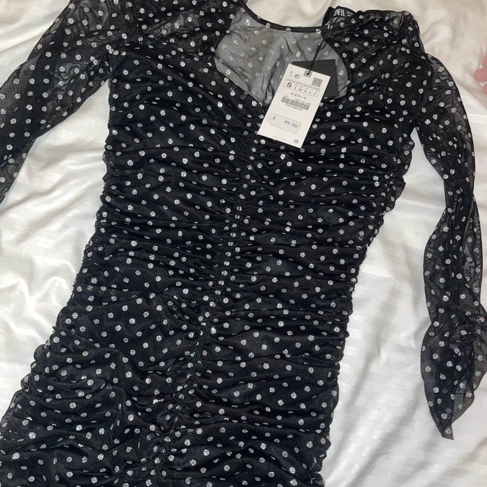 NWT Zara Dotted Mesh Tulle Dress